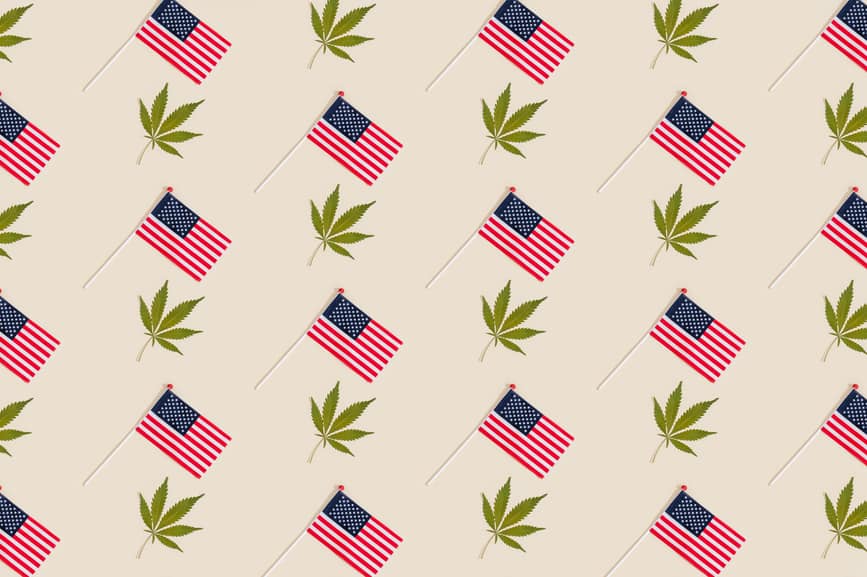 Who Buys Weed In America